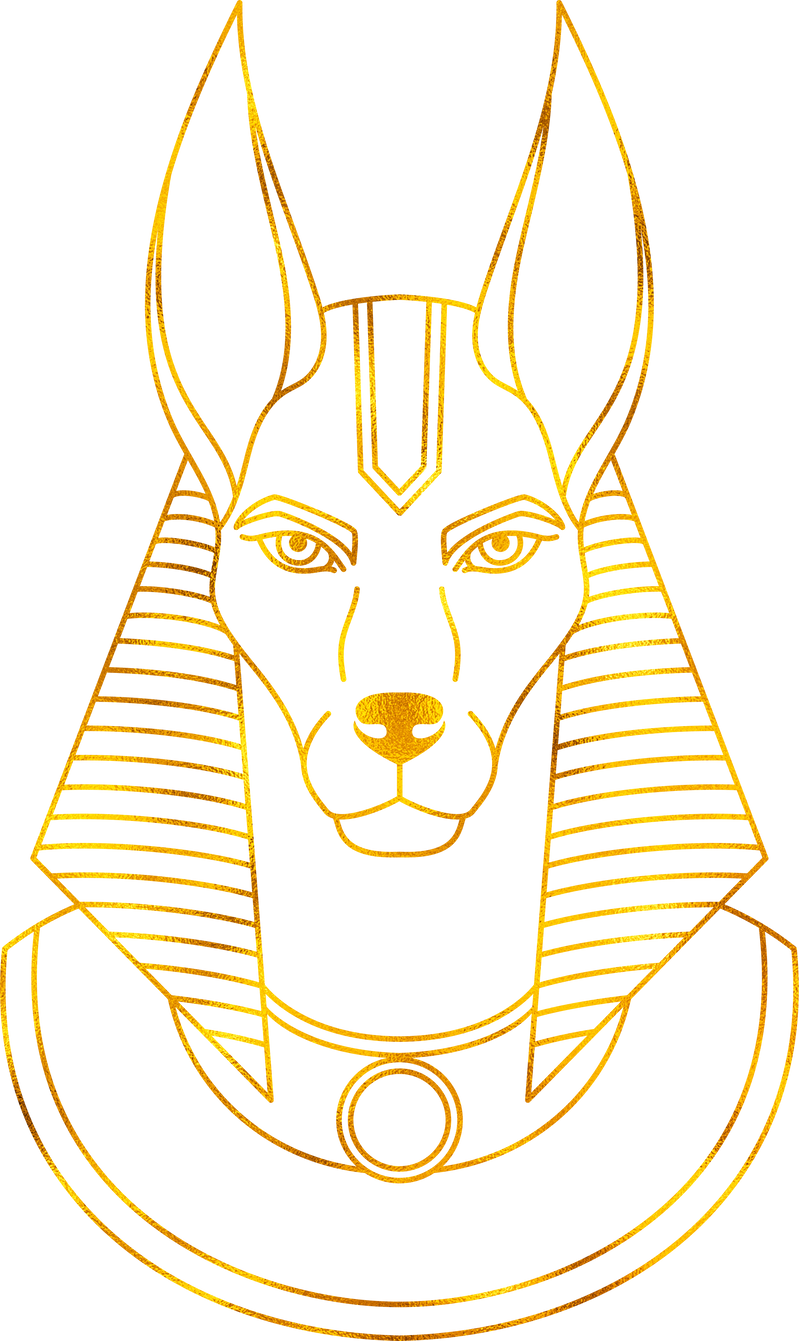 Anubis the god of ancient Egypt